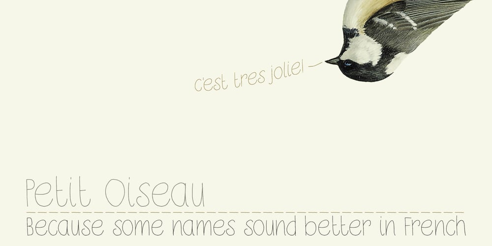 Petit Oiseau font