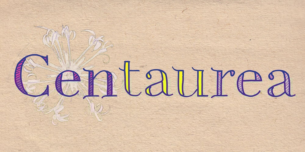 Centaurea font
