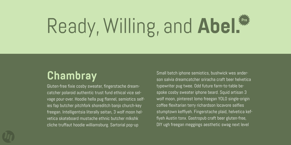 Abel Pro font