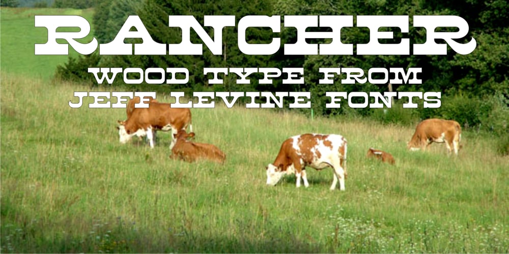 Rancher JNL font