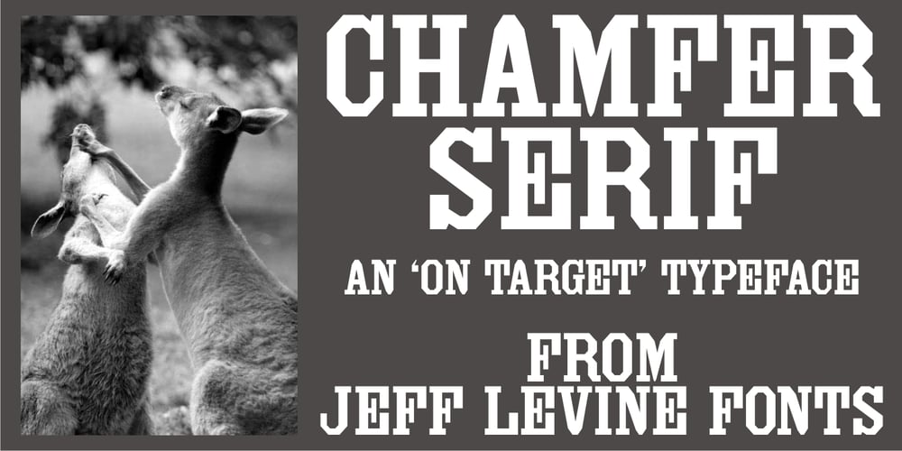 Chamfer Serif JNL font