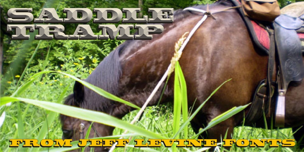 Saddle Tramp JNL font