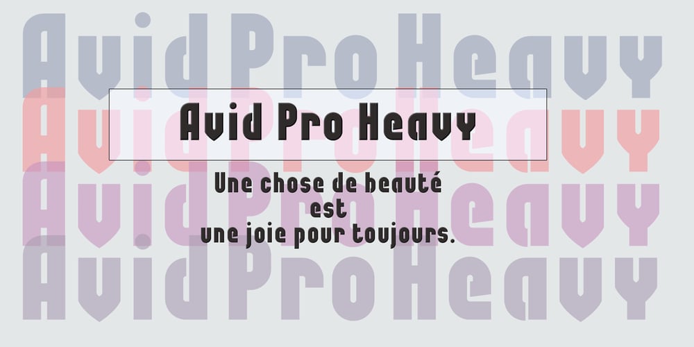 Avid Pro font