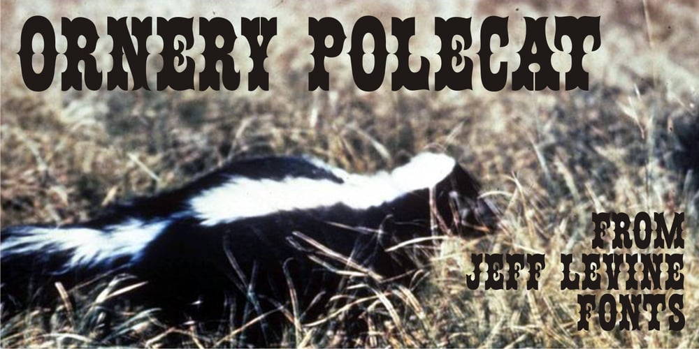 Ornery Polecat JNL font