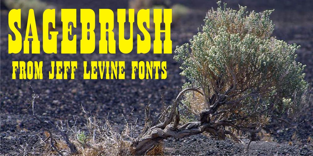 Sagebrush JNL font