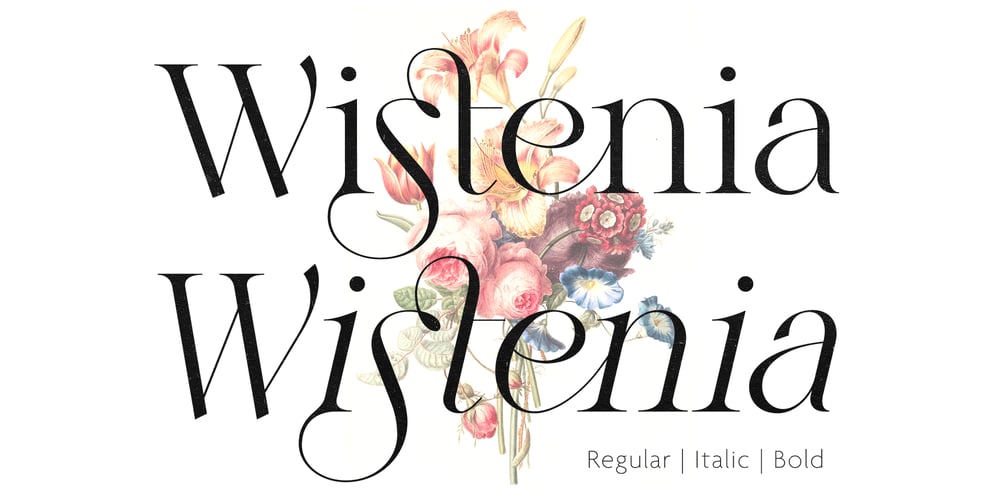Wistenia font