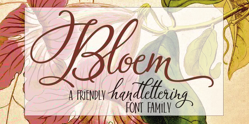 Bloem font