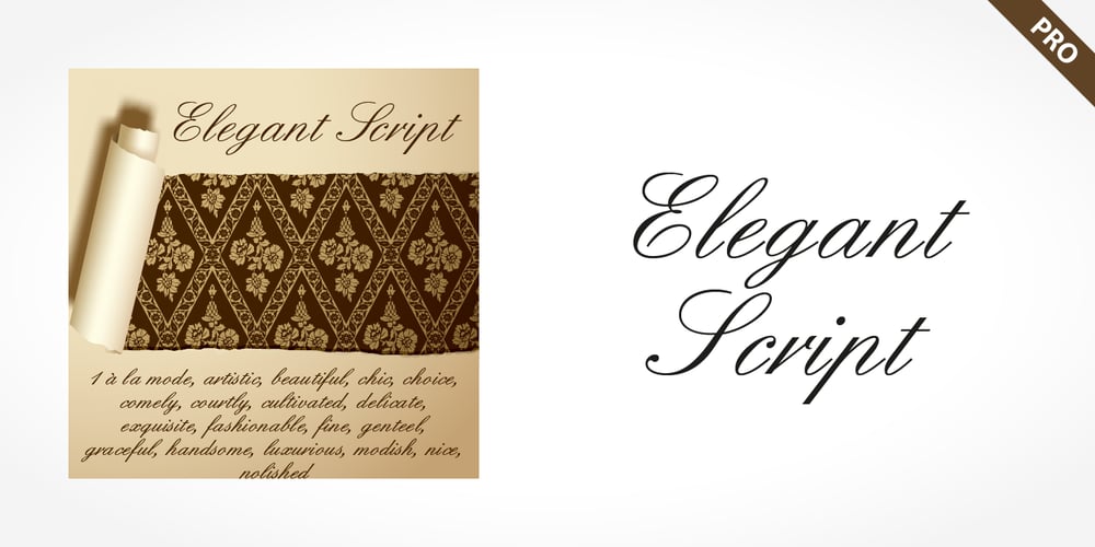 Elegant Script Pro font