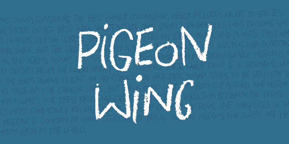 Pigeon Wing font