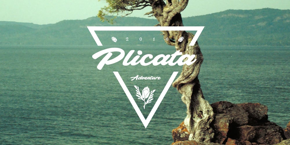 Plicata font