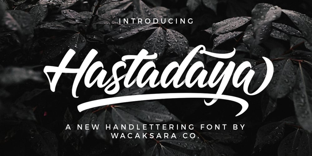 Hastadaya font