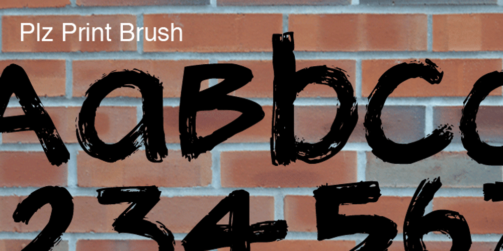 Plz Print Brush font