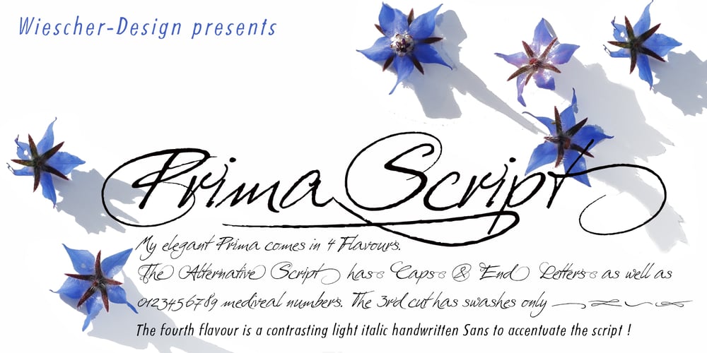 Prima Script font