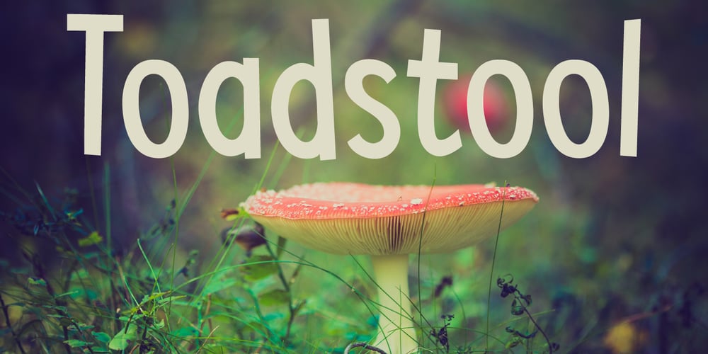 Toadstool font