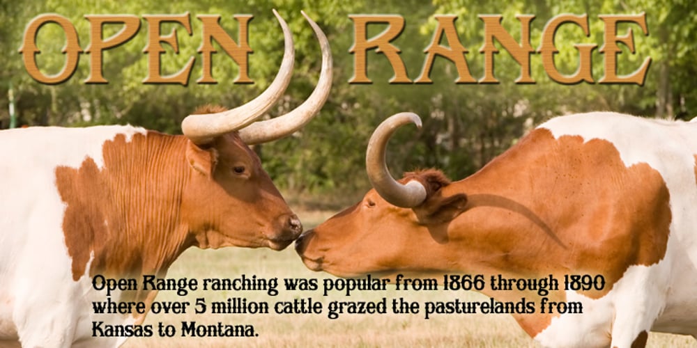 Open Range font