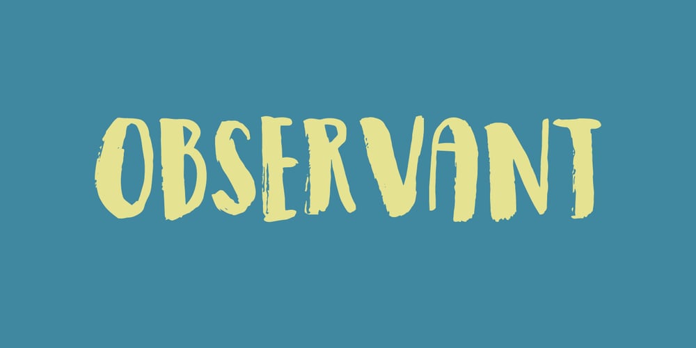 Observant font