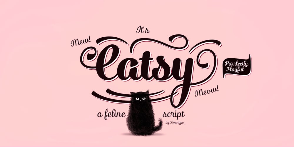Catsy font
