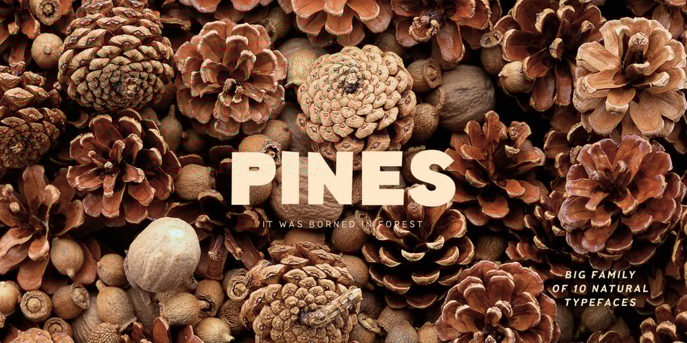 Pines font