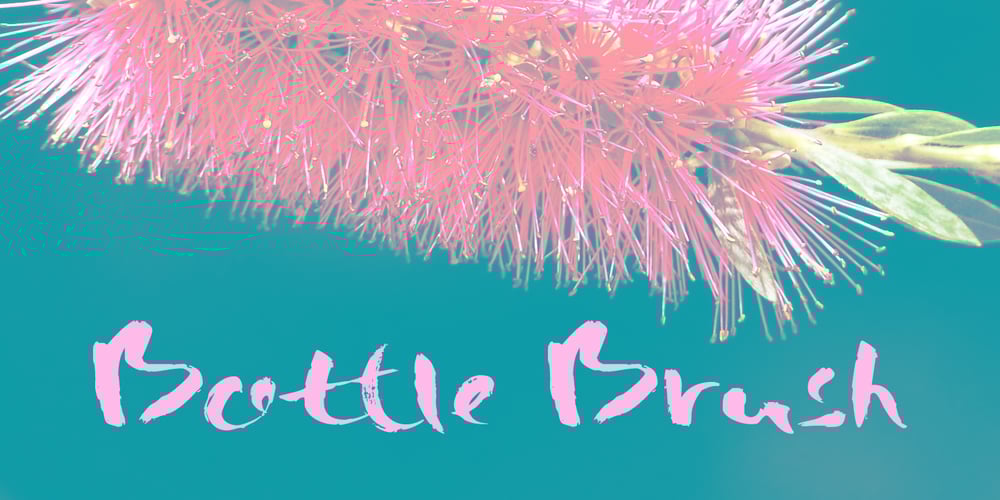 Bottle Brush font