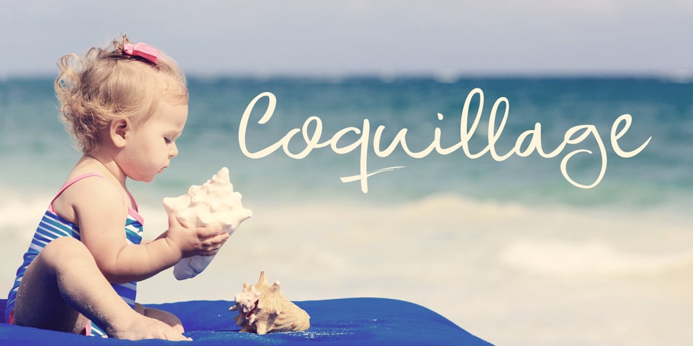 Coquillage font