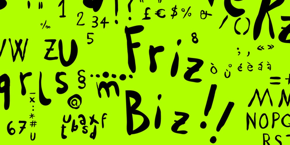 Friz Biz font