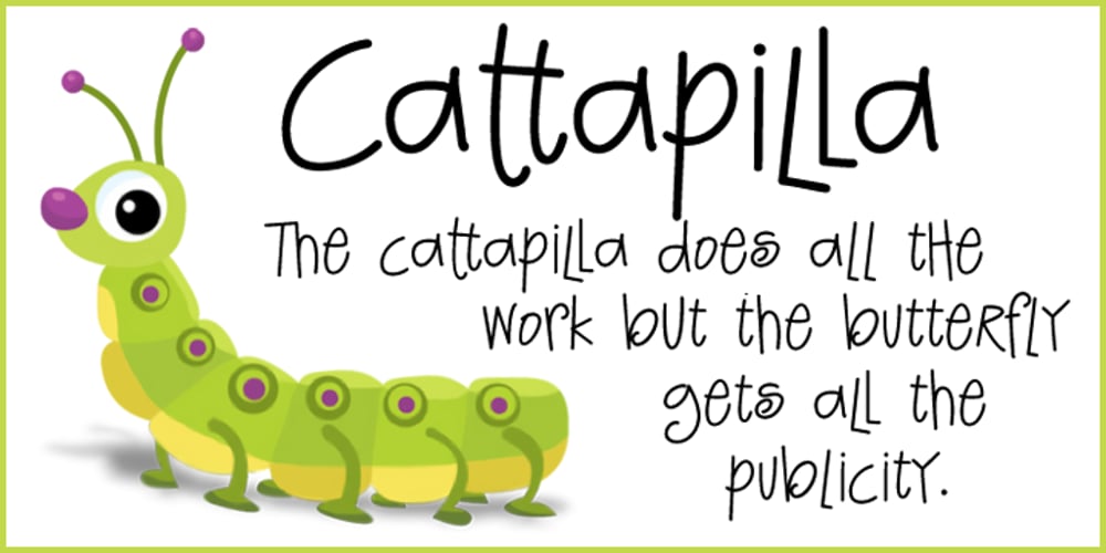 Cattapilla font
