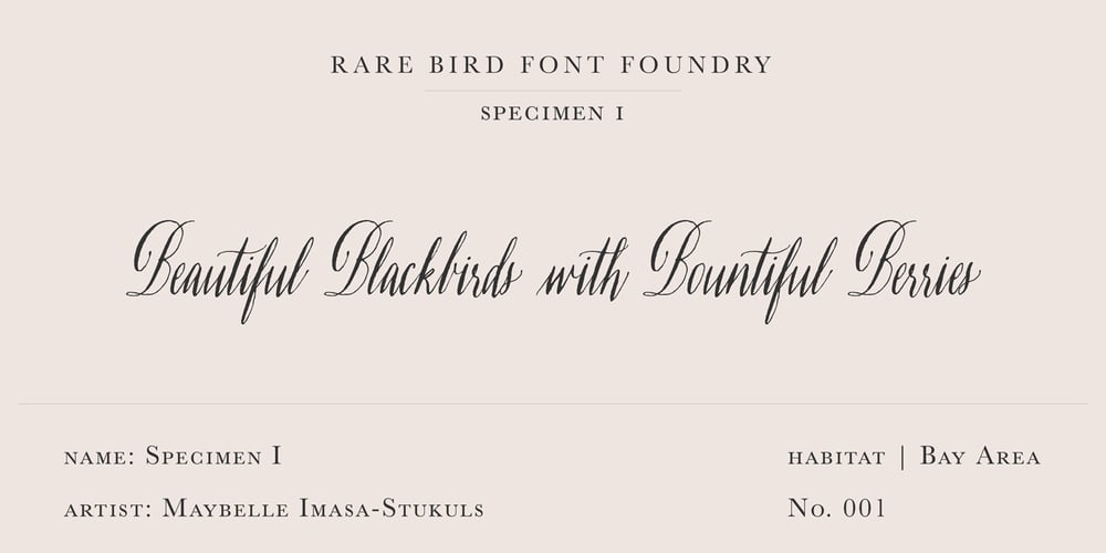 Rare Bird Specimen I font