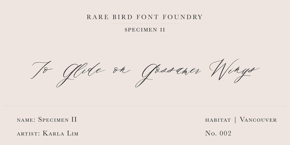 Rare Bird Specimen II font