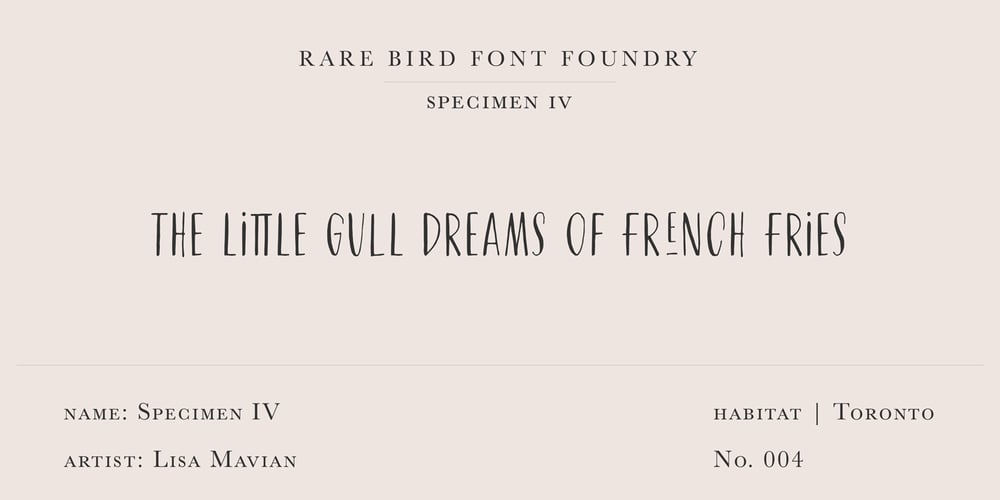 Rare Bird Specimen IV font