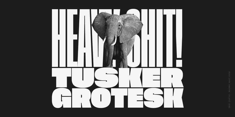 Tusker Grotesk font