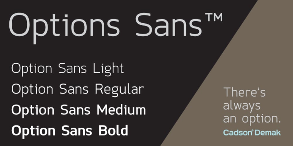 Option Sans font