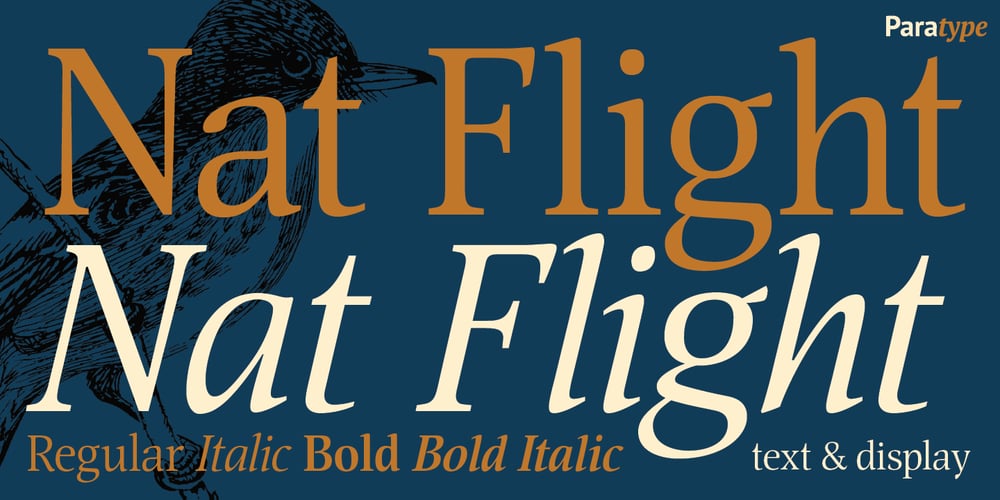 Nat Flight font