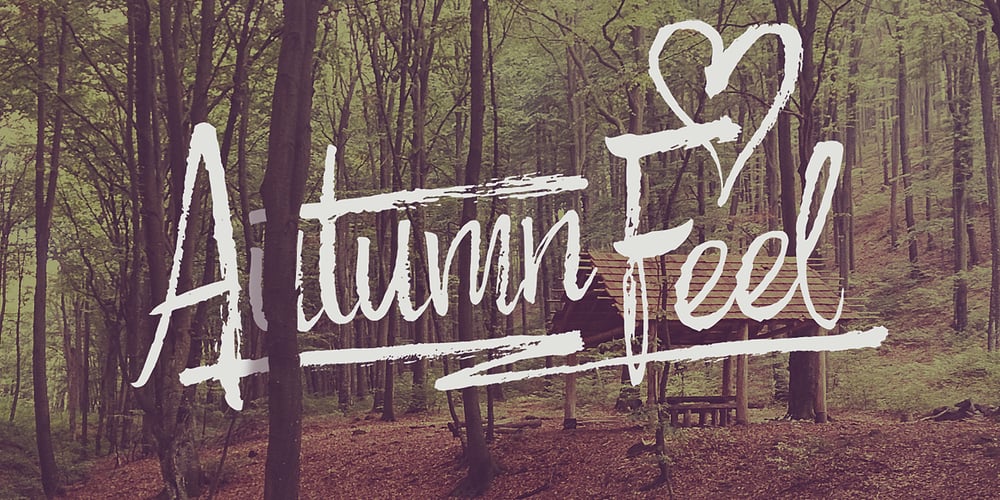 Autumn Feel font