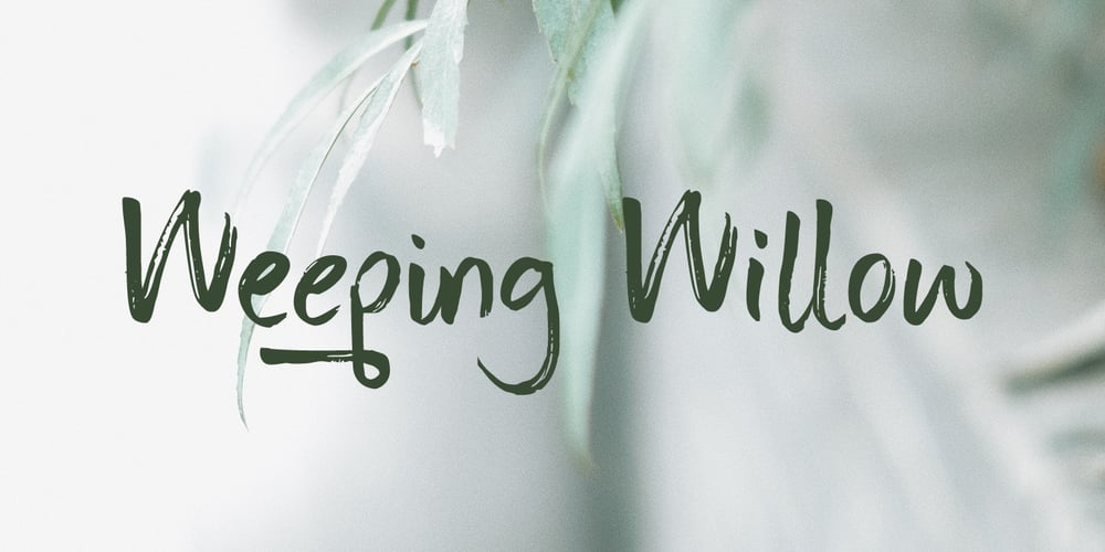 Weeping Willow font