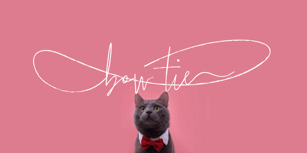 Bow Tie font