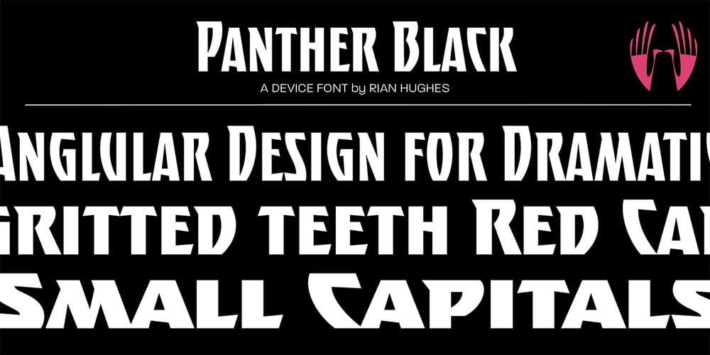 Panther Black font