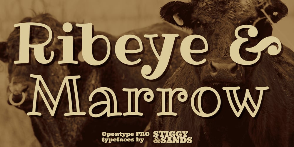 Ribeye Pro font