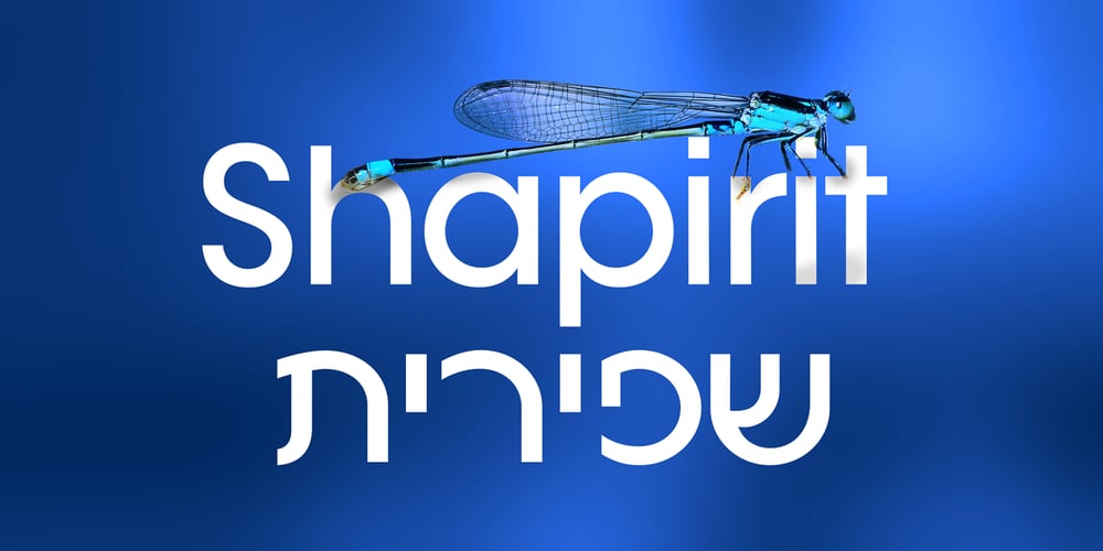 SHAPIRIT font