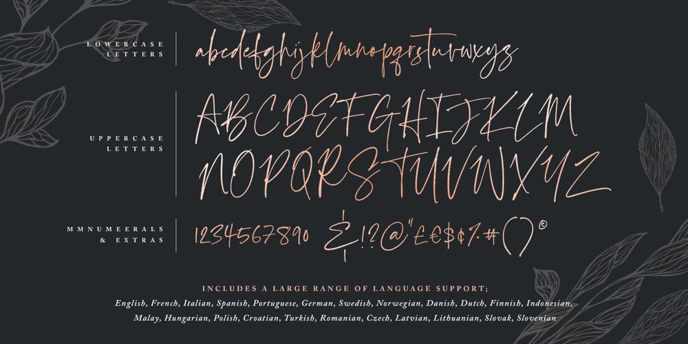 Bird & Thorn font