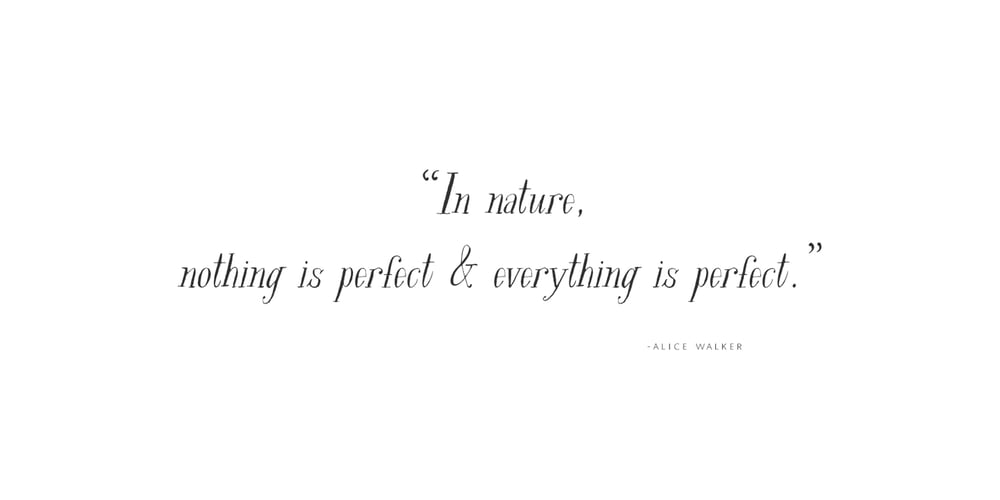 Rare Bird Specimen V font