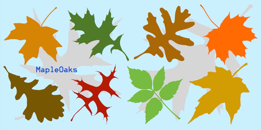 MapleOaks font