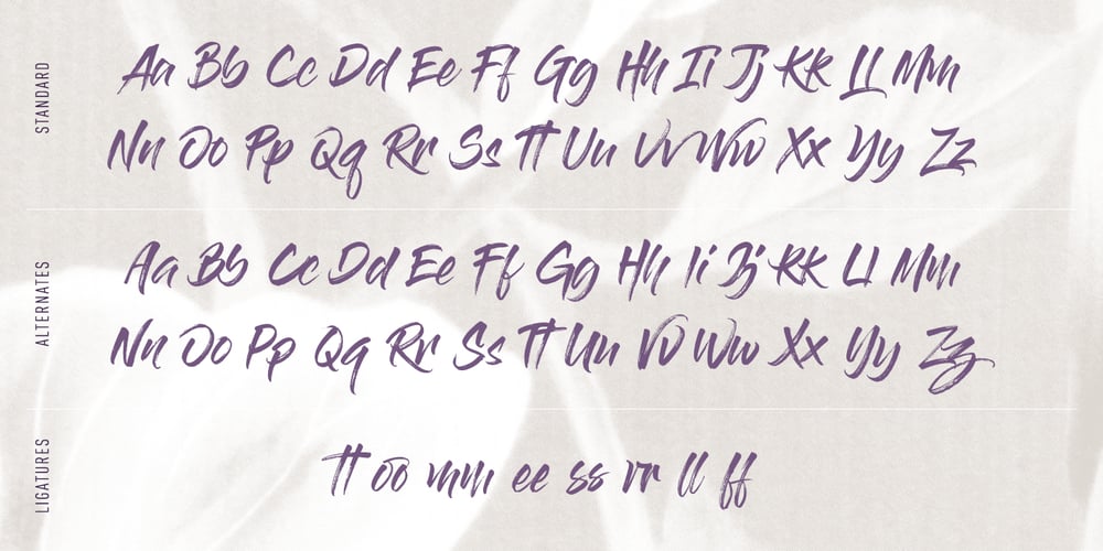 Gloss And Bloom font