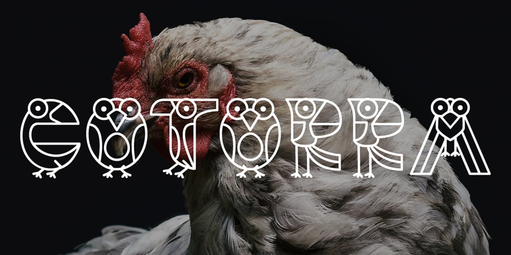 Cotorra font