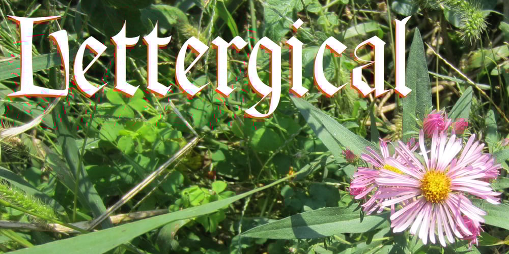 Lettergical font