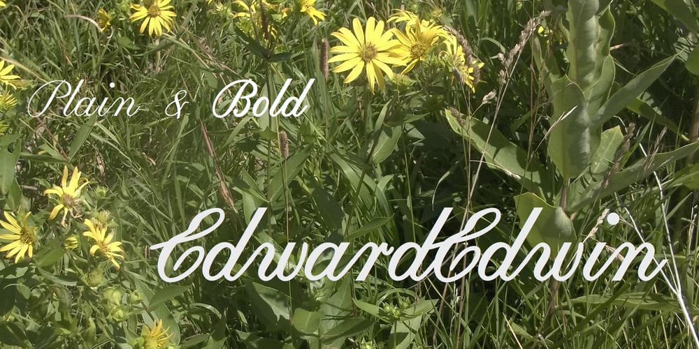 Edward Edwin font