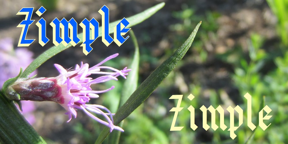 Zimple font