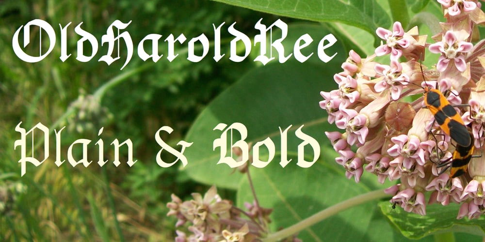 OldHaroldRee font