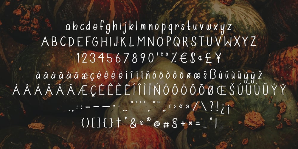 Farmer’s Marker font