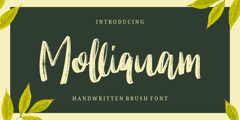 Molliquam font