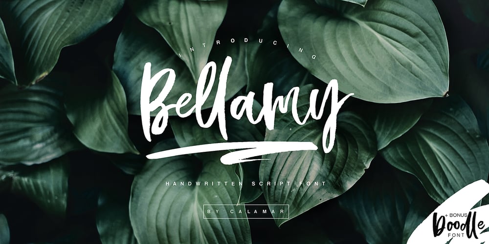 Bellamy font